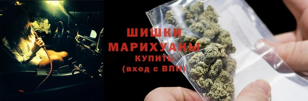 индика Михайлов
