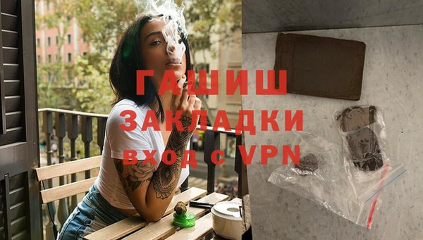 индика Михайлов