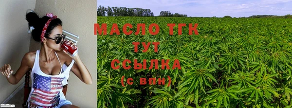 индика Михайлов