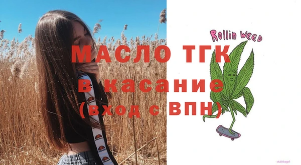 индика Михайлов