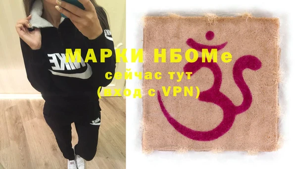 индика Михайлов