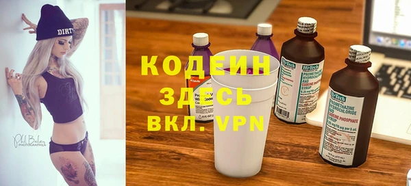 индика Михайлов