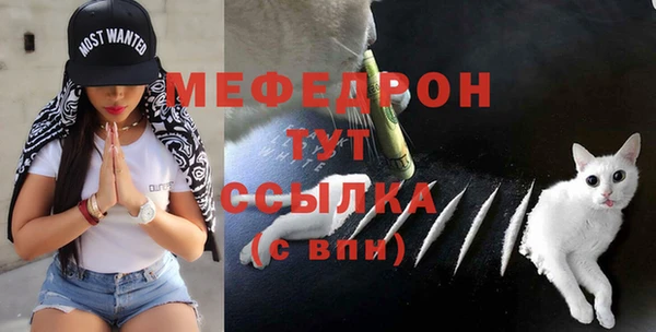 индика Михайлов