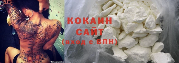 индика Михайлов
