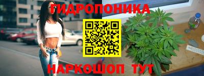 стаф Ипатово