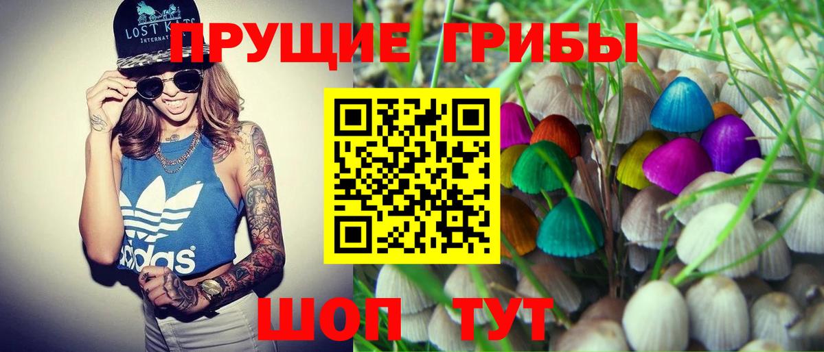 Шебекино  Галлюциногенные грибы Cubensis  Вход с VPN 